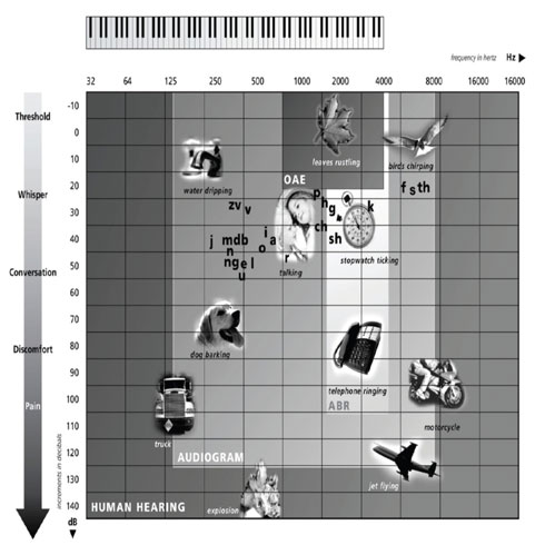 The Human Hearing Chart shows human hearing in hertz frequencies (with real-life examples) and the range that audiograms test.