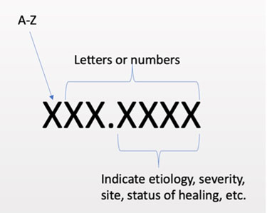 Anatomy of an ICD-10 Code